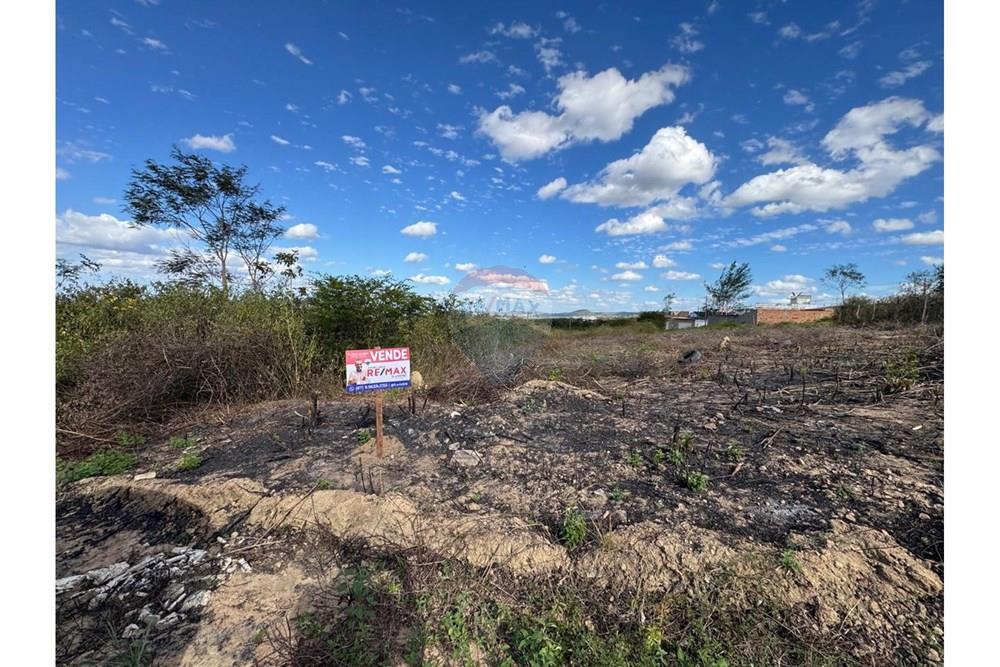 Terreno - Venda - Garanhuns , Pernambuco - WhatsApp Image 2025-12-03 at 21.36.56 (5).jpeg - 850131003-523