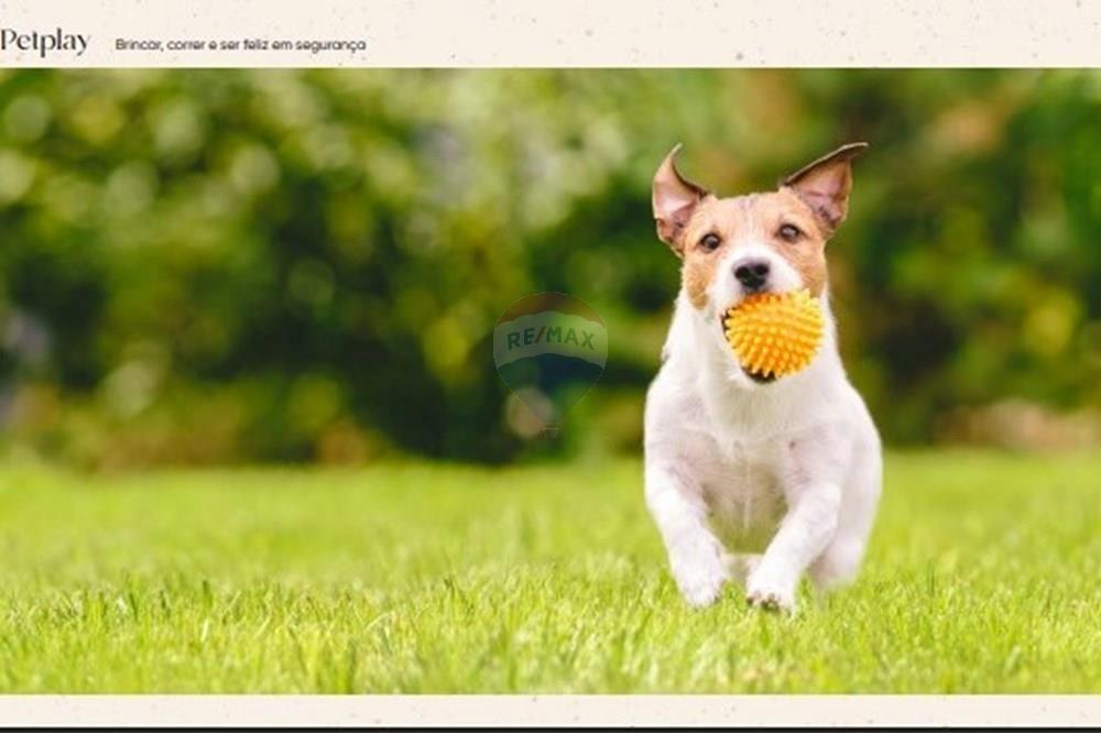 Casa - Venda - Porto de Pedras , Alagoas - WhatsApp Image 2025-09-02 at 12.36.32.jpeg - 850221002-289