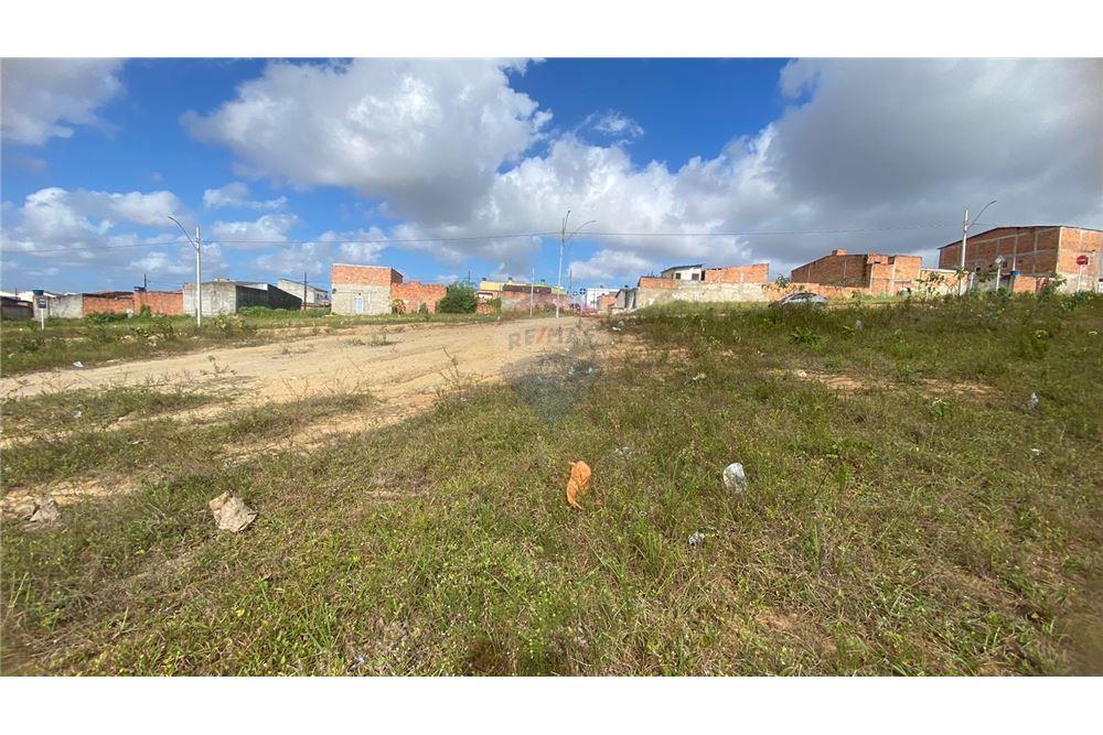 Terreno - Venda - São Cristóvão , Sergipe - 11 - 850581005-232