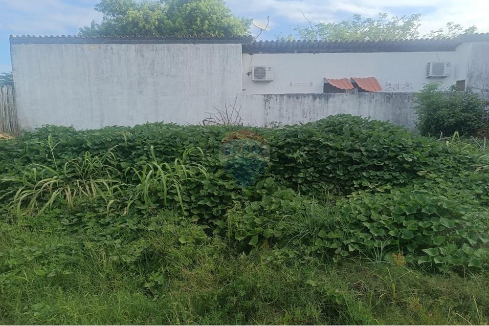 Terreno - Venda - Porto de Pedras , Alagoas - TERRENO CLÁUDIO 14.jpeg - 850141002-133