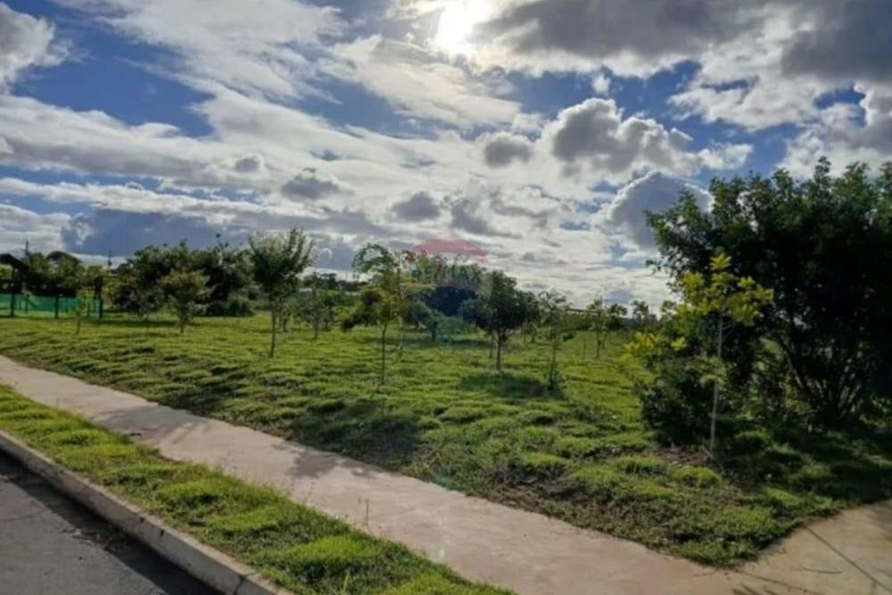 Terreno - Venda - Camaragibe , Pernambuco - WhatsApp Image 2026-01-29 at 16.38.32 (1).jpeg - 850251132-1