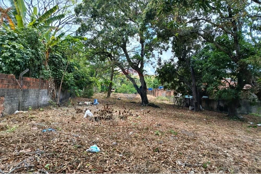 Terreno - Venda - Maceió , Alagoas - WhatsApp Image 2025-12-10 at 15.35.57 (1).jpeg - 850271159-435