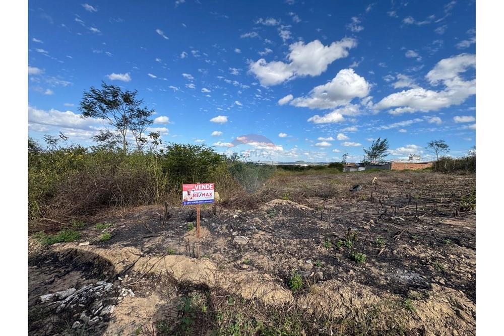 Terreno - Venda - Garanhuns , Pernambuco - WhatsApp Image 2025-12-03 at 21.36.56 (4).jpeg - 850131003-523