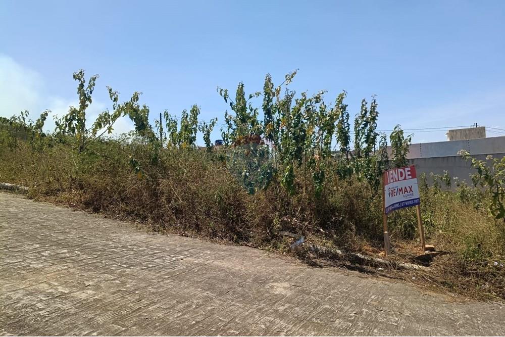 Terreno - Venda - Garanhuns , Pernambuco - WhatsApp Image 2025-11-13 at 20.46.08 (3).jpeg - 850741008-1