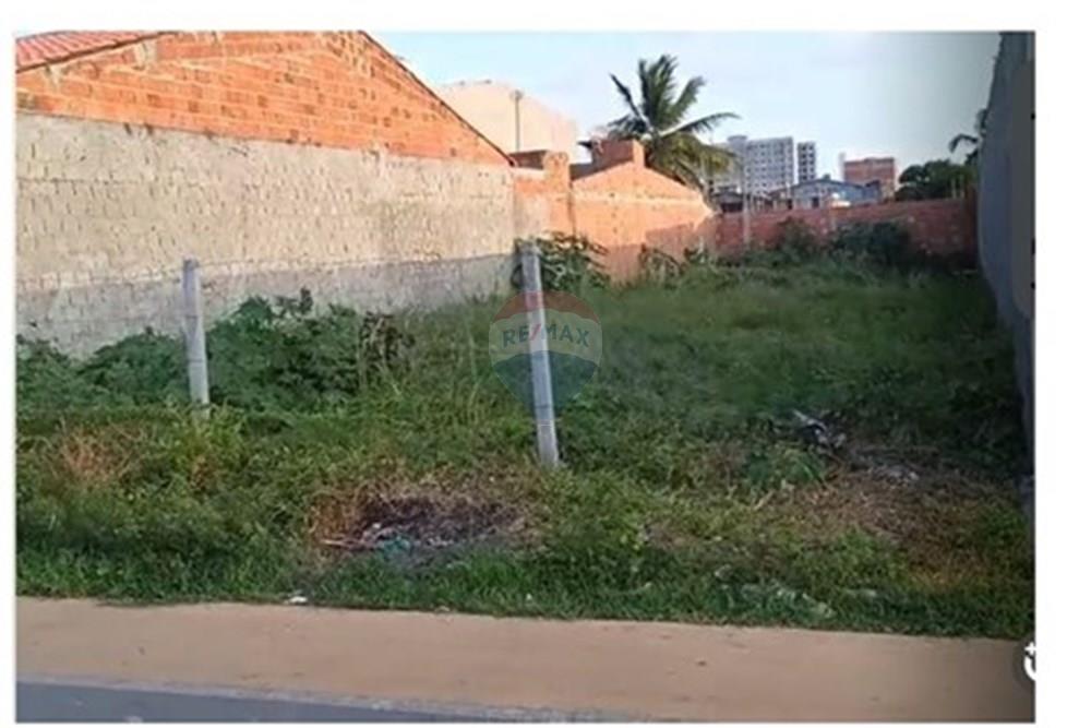 Terreno - Venda - Barra dos Coqueiros , Sergipe - WhatsApp Image 2025-11-26 at 18.19.34 (1).jpeg - 850631014-32