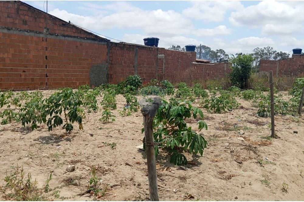 Terreno - Venda - Lajedo , Pernambuco - WhatsApp Image 2025-11-23 at 12.54.15 PM (1).jpeg - 850131012-48