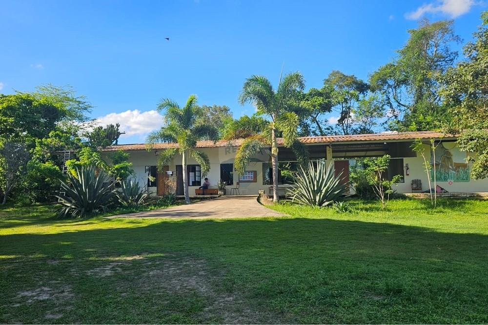 Terreno - Venda - Paudalho , Pernambuco - WhatsApp Image 2026-04-02 at 15.37.46.jpeg - 850471016-87