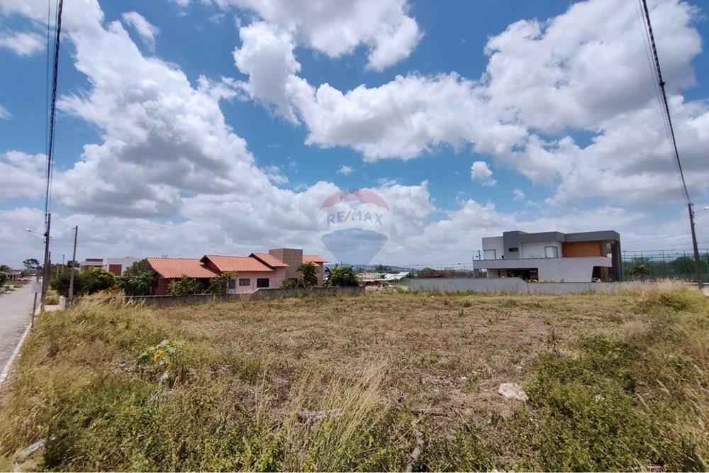 Terreno - Venda - Sairé , Pernambuco - WhatsApp Image 2026-01-14 at 09.54.18.jpeg - 850501080-139