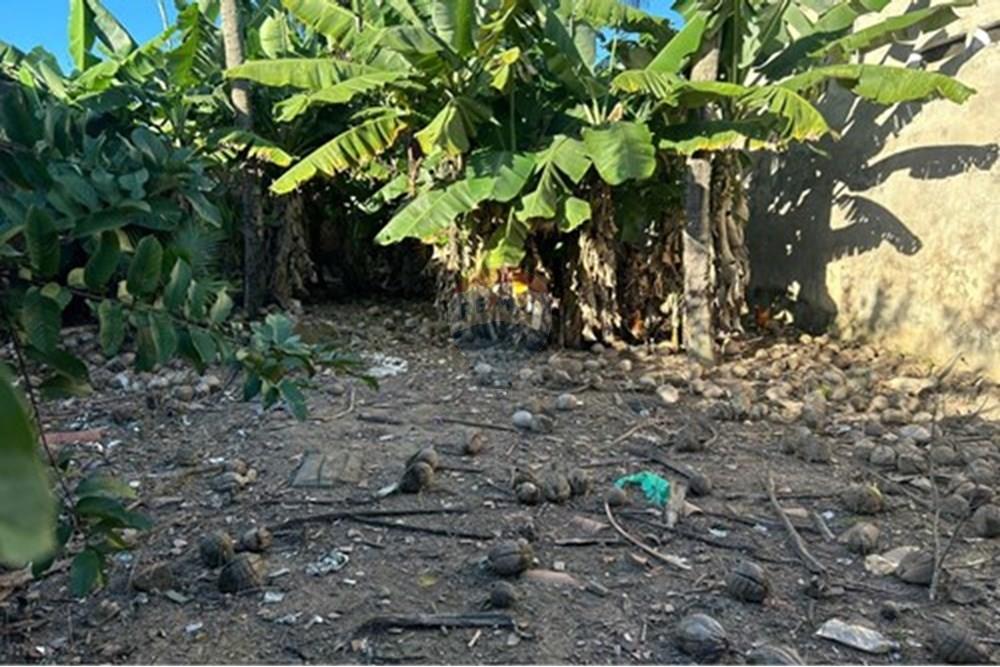 Terreno - Venda - Maceió , Alagoas - 1 - Copia (18).jpg - 850271156-119