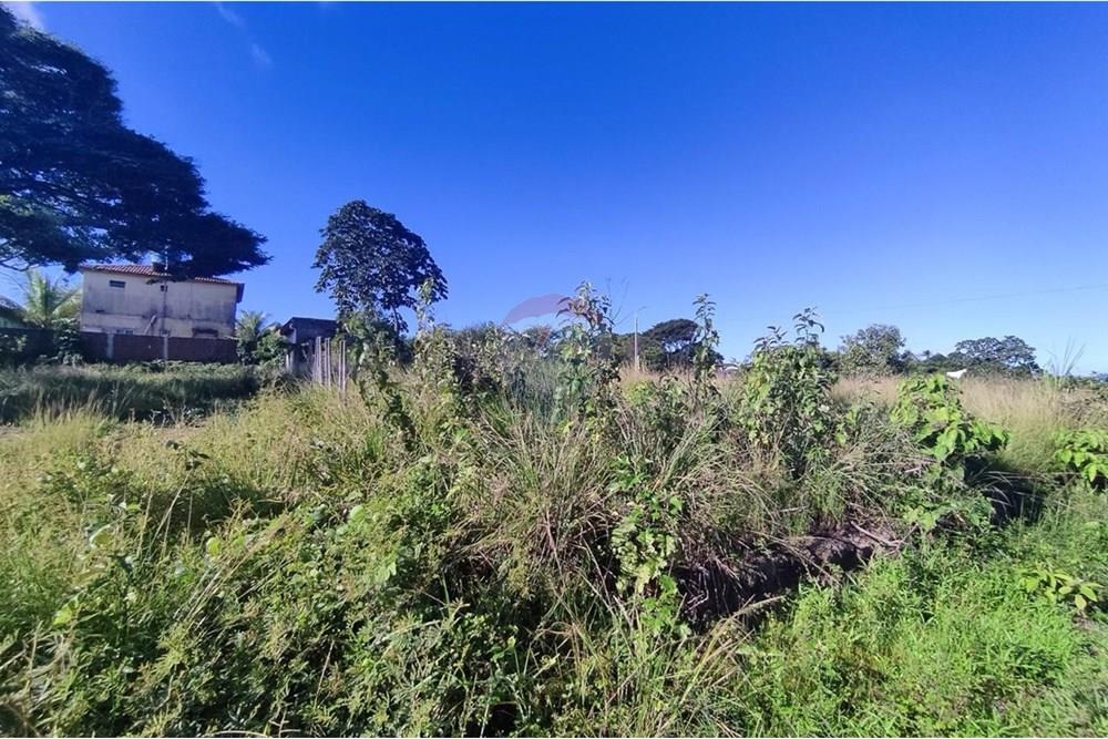 Terreno - Venda - Cabo de Santo Agostinho , Pernambuco - WhatsApp Image 2025-06-21 at 12.39.07 (5).jpeg - 850281001-54