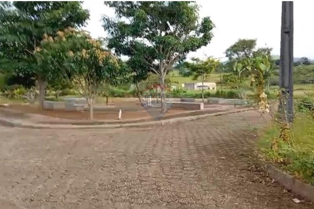 Terreno - Venda - Palmeira dos Índios , Alagoas - WhatsApp Image 2025-11-14 at 16.53.26.jpeg - 850271243-9