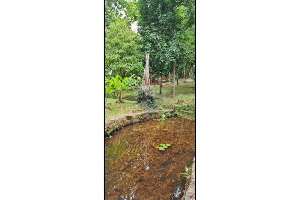 Casa de Condomínio - Venda - Camaragibe , Pernambuco - IMG-20251015-WA0061.jpg - 850091086-6