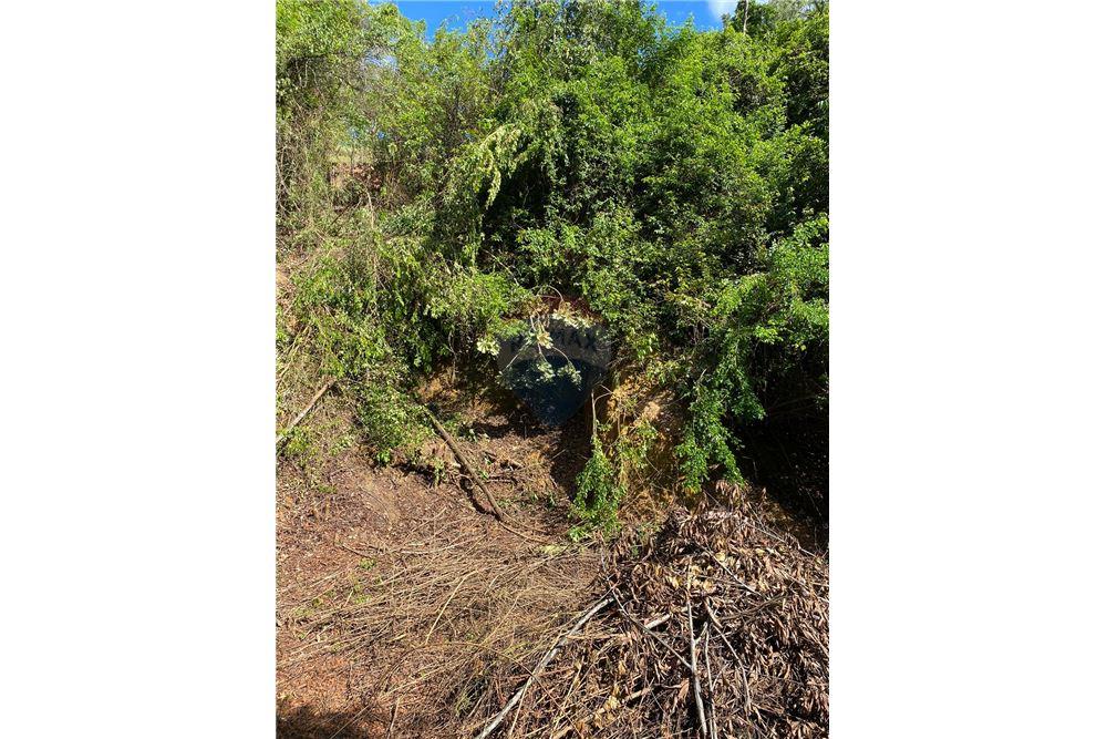 Terreno - Venda - Recife , Pernambuco - 6 - 850251016-617