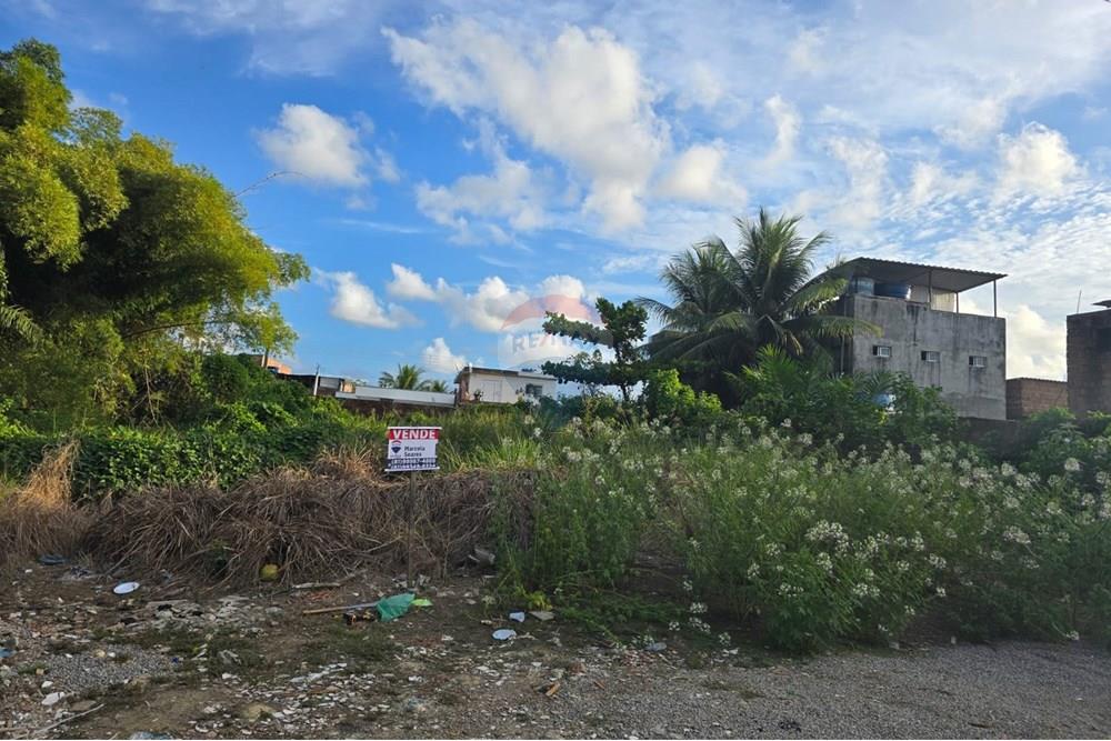 Terreno - Venda - Cabo de Santo Agostinho , Pernambuco - WhatsApp Image 2025-01-21 at 12.06.21 (4).jpeg - 850281036-44