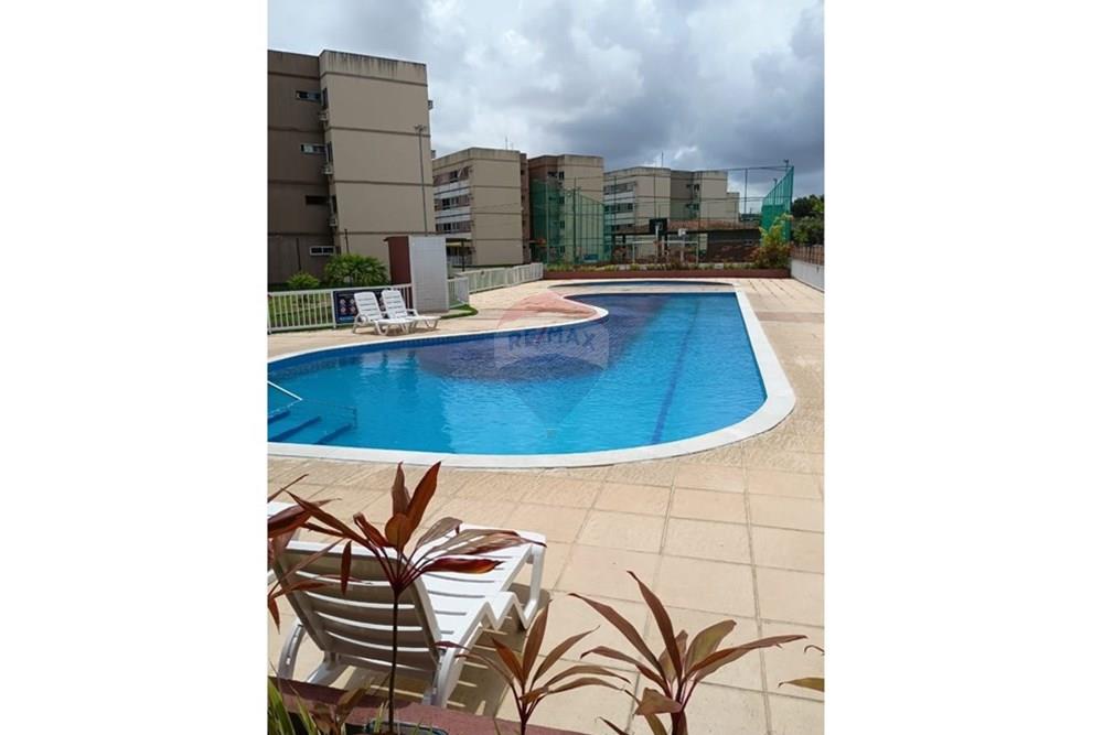 Apartamento - Venda - São Lourenço da Mata , Pernambuco - WhatsApp Image 2025-02-14 at 09.29.17 (2).jpeg - 850721002-133