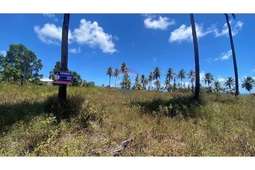 Terreno - Venda - Maragogi , Alagoas - IMG_1536.jpg - 850271264-8