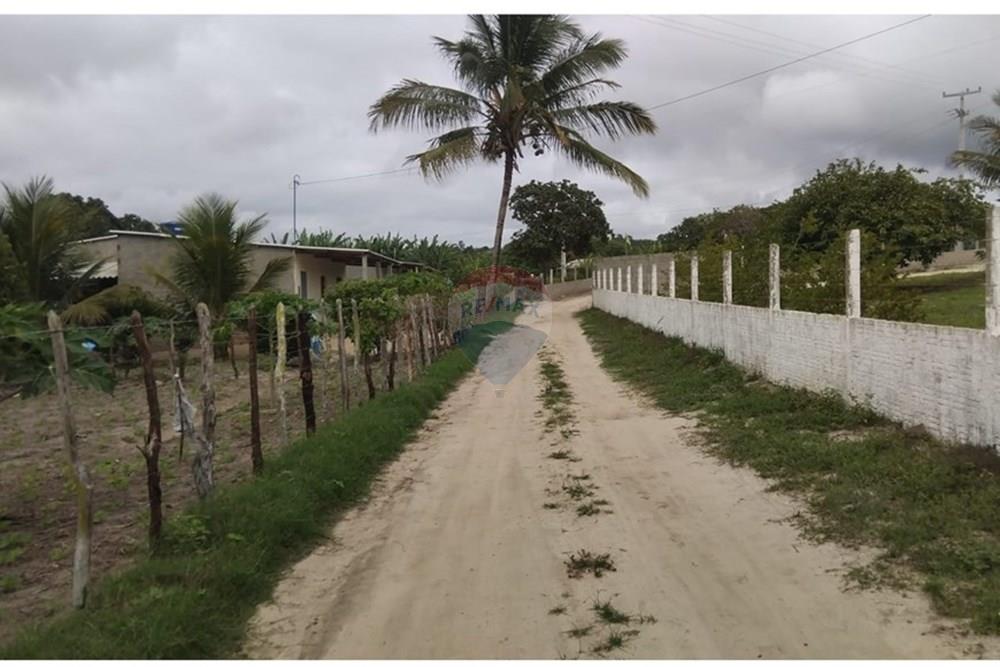Terreno - Venda - Garanhuns , Pernambuco - SITIO DE SEU NILTON.jpg - 850741005-15