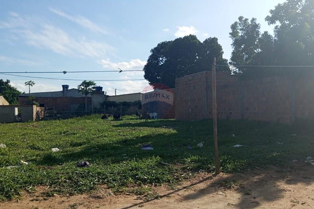 Terreno - Venda - Lajedo , Pernambuco - WhatsApp Image 2026-01-09 at 10.26.29.jpeg - 850131012-51