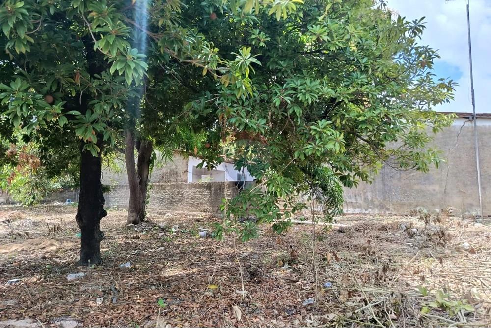 Terreno - Venda - Maceió , Alagoas - WhatsApp Image 2025-12-10 at 15.35.38.jpeg - 850271159-435