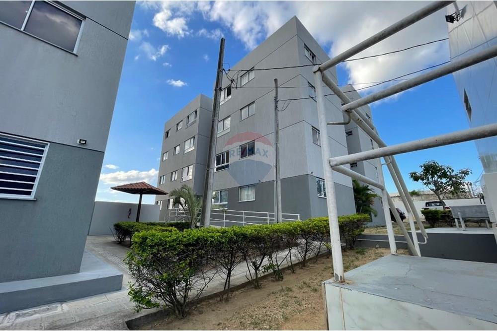 Apartamento - Alugar - Caruaru , Pernambuco - WhatsApp Image 2025-12-18 at 10.09.33 (4).jpeg - 850161082-31