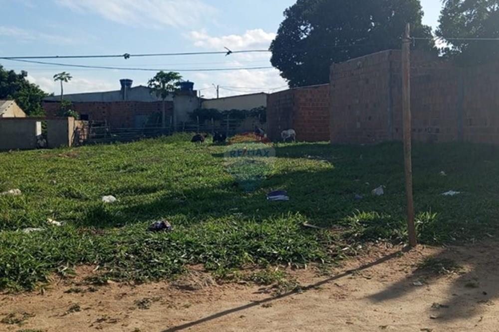 Terreno - Venda - Lajedo , Pernambuco - WhatsApp Image 2026-01-09 at 10.26.27.jpeg - 850131012-51