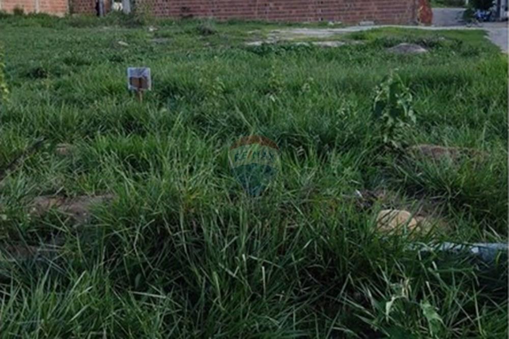 Terreno - Venda - Bonito , Pernambuco - WhatsApp Image 2025-03-10 at 08.44.21 (1).jpeg - 850051012-95