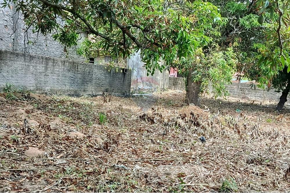 Terreno - Venda - Maceió , Alagoas - WhatsApp Image 2025-12-10 at 15.36.00 (1).jpeg - 850271159-435