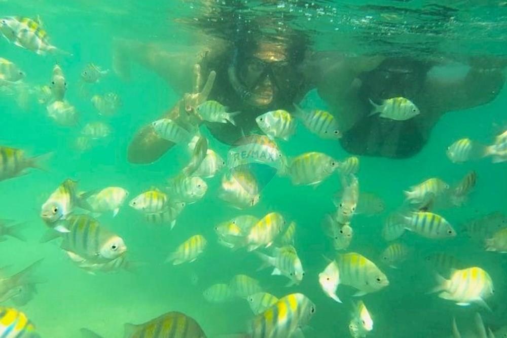 Casa - Venda - São Miguel dos Milagres , Alagoas - 35.jpg - 850271286-65