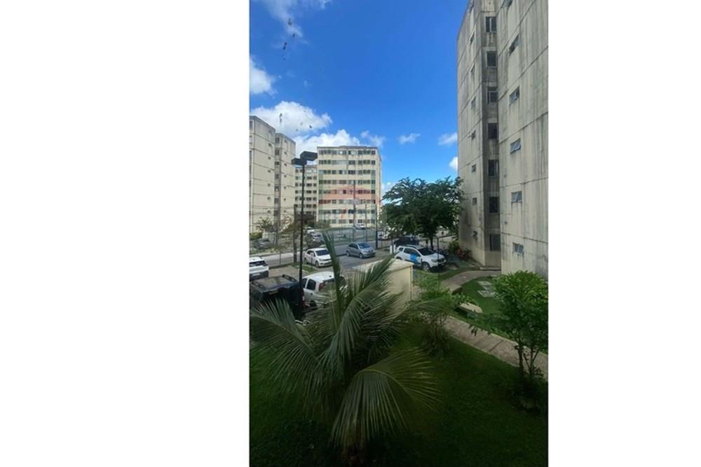 Apartamento - Venda - Ipojuca , Pernambuco - foto 10.jpeg - 850281044-6