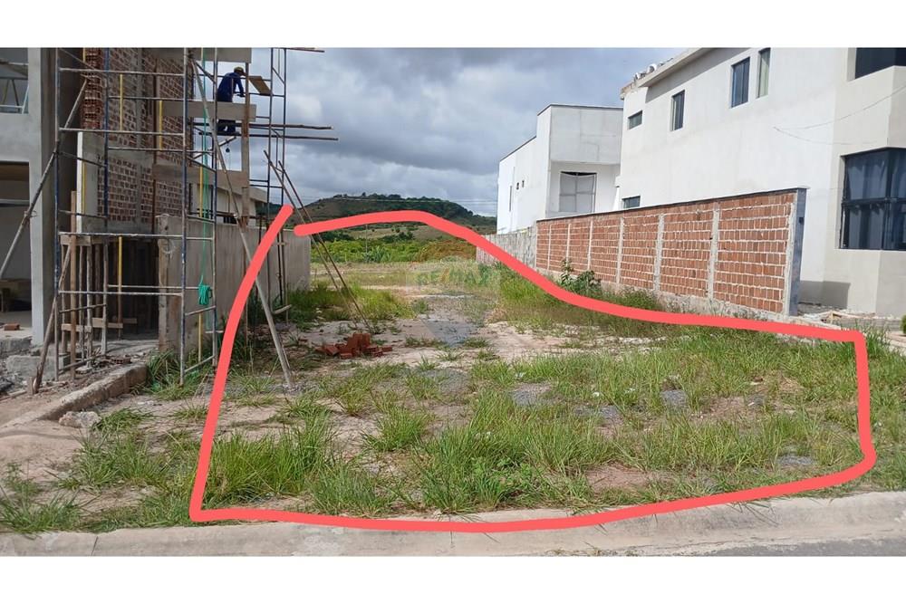 Terreno - Venda - Cabo de Santo Agostinho , Pernambuco - WhatsApp Image 2026-01-06 at 08.29.50.jpeg - 850281039-42