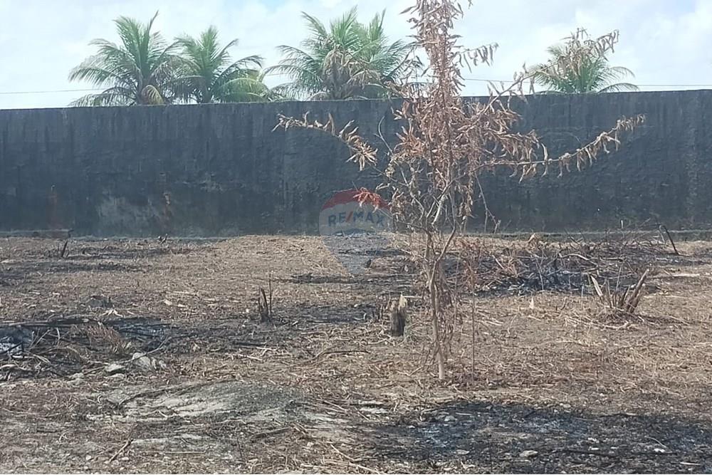 Terreno - Venda - Abreu e Lima , Pernambuco - WhatsApp Image 2025-10-22 at 15.24.17.jpeg - 850721009-19