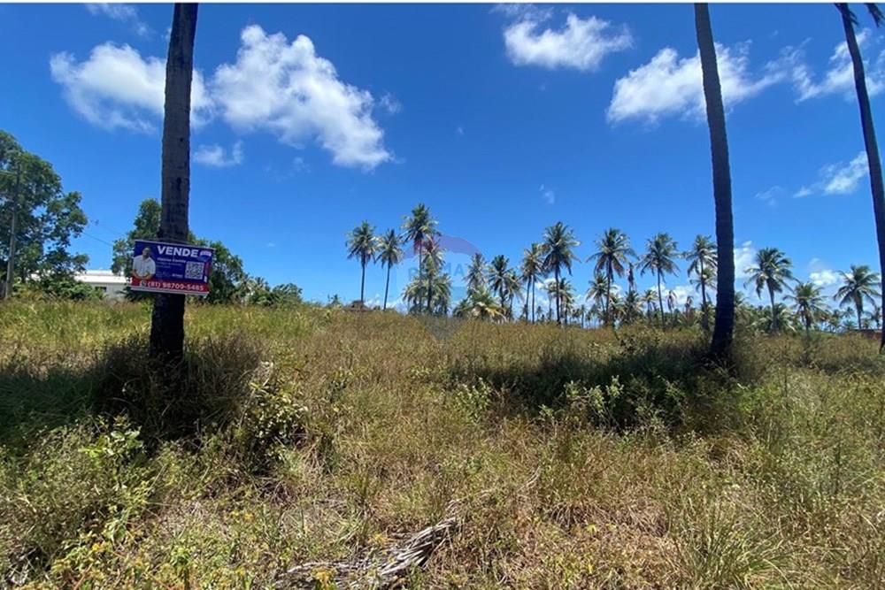 Terreno - Venda - Maragogi , Alagoas - IMG_1536.jpg - 850271264-8