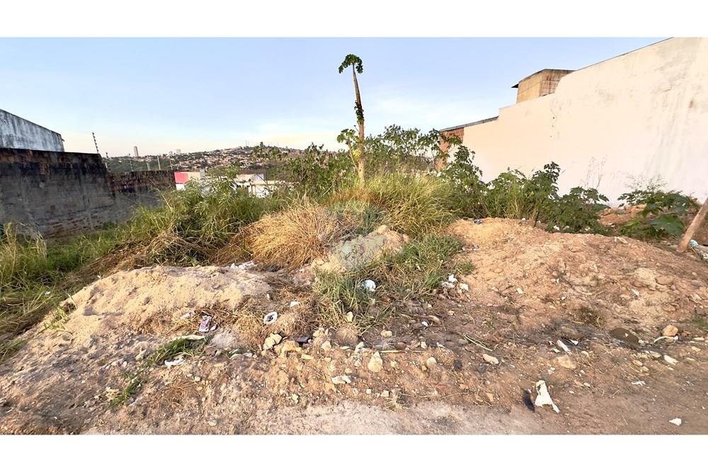 Terreno - Venda - Garanhuns , Pernambuco - IMG_2398.jpeg - 850741004-297