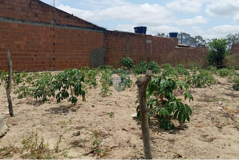 Terreno - Venda - Lajedo , Pernambuco - WhatsApp Image 2025-11-23 at 12.54.15 PM (2).jpeg - 850131012-48