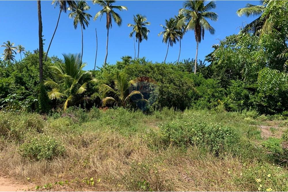 Terreno - Venda - Porto de Pedras , Alagoas - 17.jpg - 850271286-55