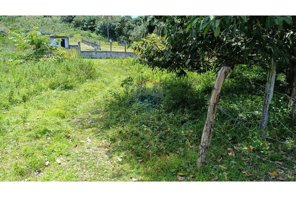 Terreno - Venda - Paulista , Pernambuco - WhatsApp Image 2025-10-11 at 10.28.23.jpeg - 850501060-494