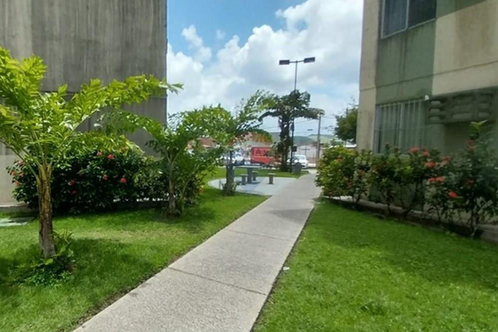 Apartamento - Venda - Ipojuca , Pernambuco - WhatsApp Image 2025-03-16 at 16.11.32.jpeg - 850281001-30