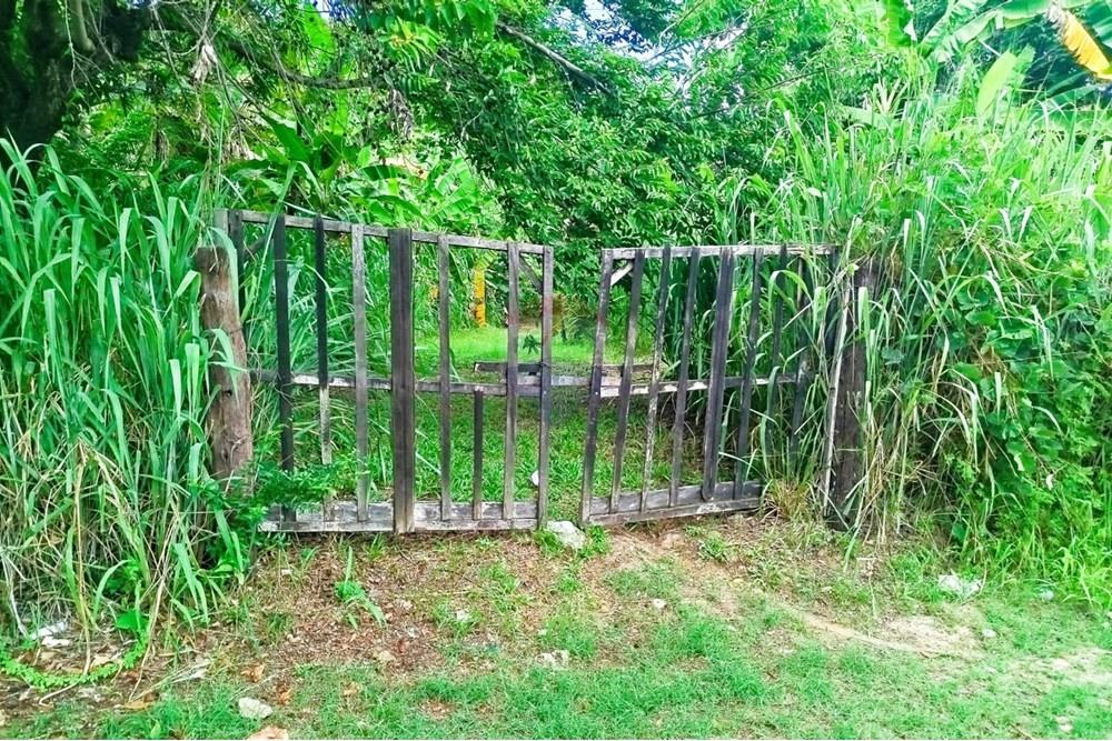 Terreno - Venda - Paulista , Pernambuco - WhatsApp Image 2025-03-16 at 14.59.11.jpeg - 850721002-141