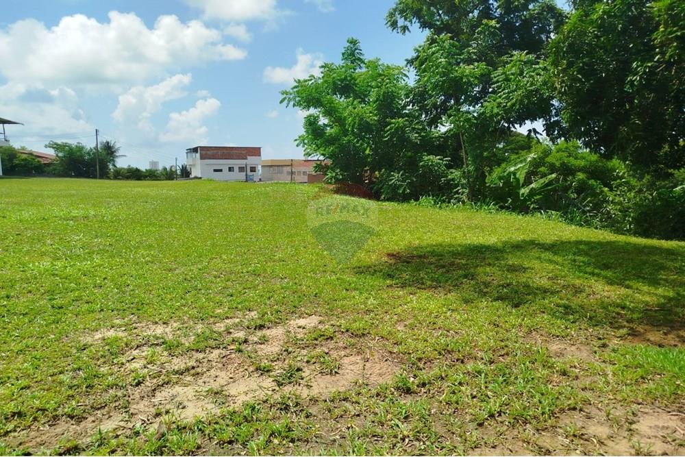 Terreno - Venda - Olinda , Pernambuco - WhatsApp Image 2025-03-16 at 14.33.02 (2).jpeg - 850721002-140