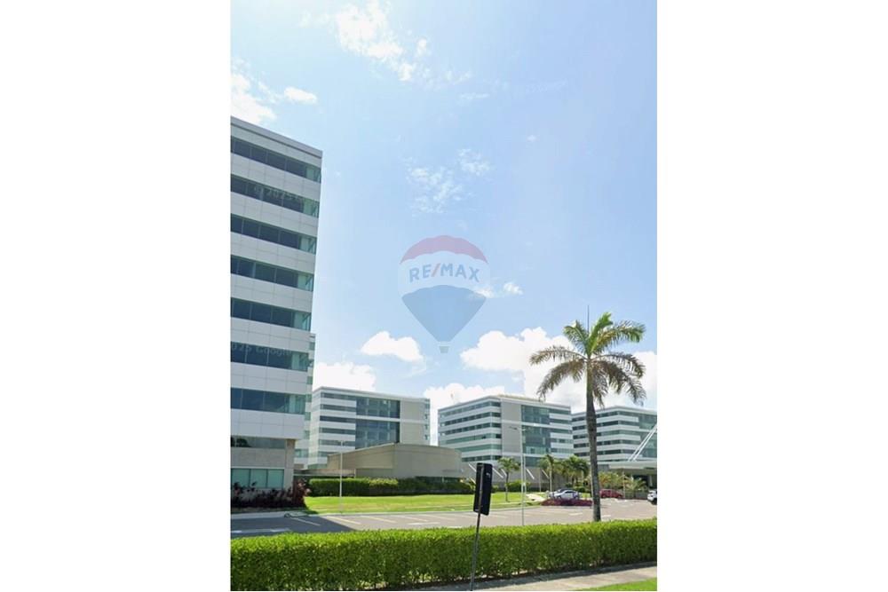 Terreno - Venda - Cabo de Santo Agostinho , Pernambuco - WhatsApp Image 2025-12-30 at 21.34.35.jpeg - 850191024-497