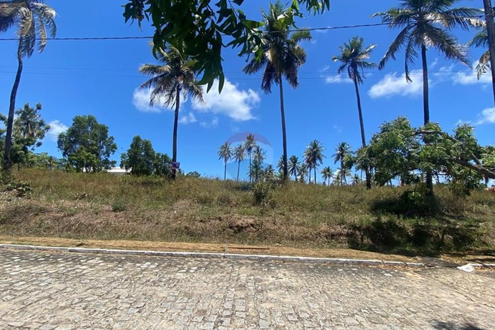 Terreno - Venda - Maragogi , Alagoas - IMG_1527.jpg - 850271264-8