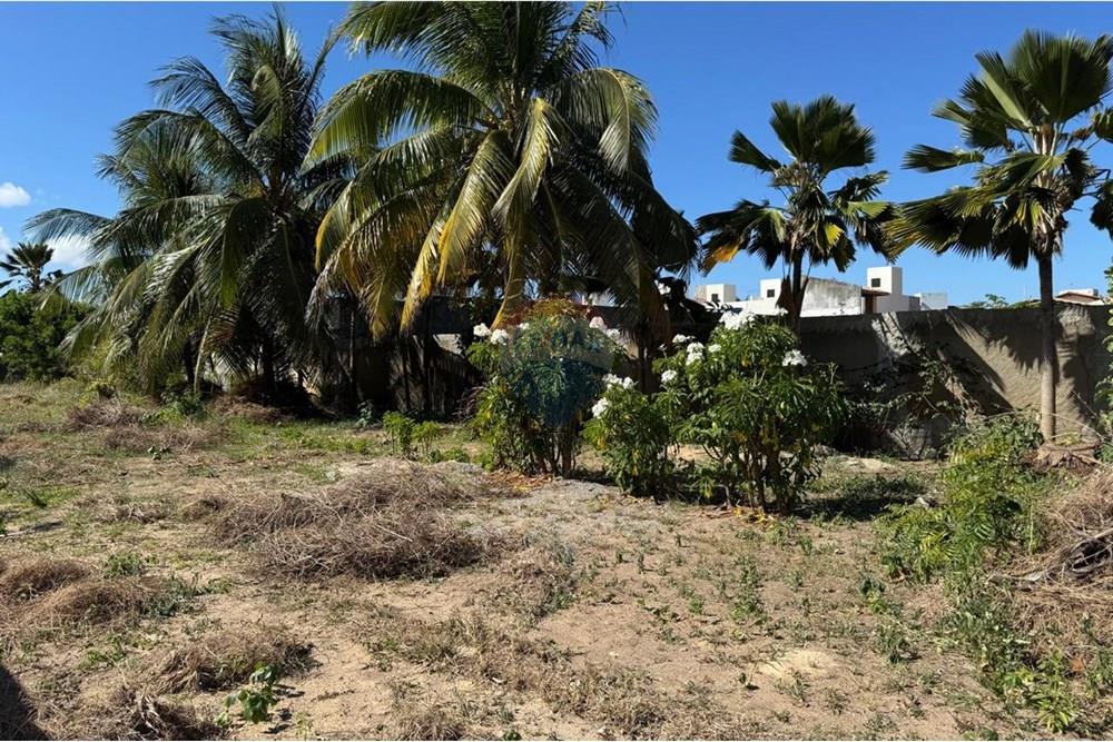 Terreno - Venda - Aracaju , Sergipe - WhatsApp Image 2025-11-14 at 09.35.57.jpeg - 850581276-9