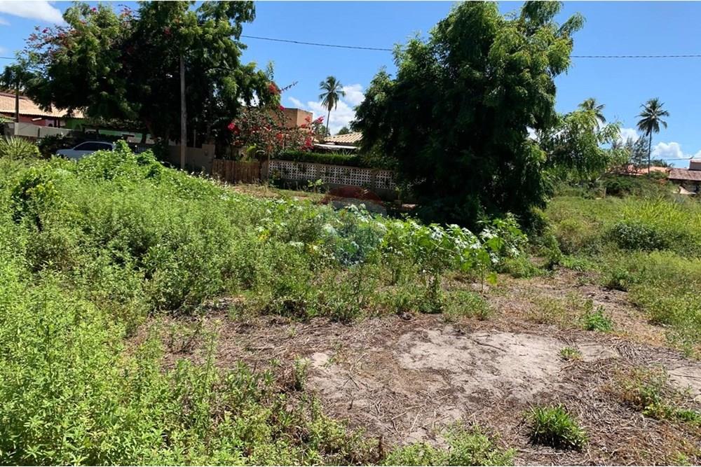 Terreno - Venda - Porto de Pedras , Alagoas - 23.jpg - 850271286-55
