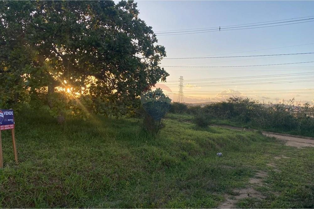 Terreno - Venda - Garanhuns , Pernambuco - WhatsApp Image 2026-03-27 at 15.40.55 (5).jpeg - 850741009-1