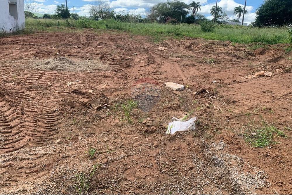 Terreno - Venda - Palmeira dos Índios , Alagoas - a4869548-7424-4a96-aaa1-a2851dae3d1c.jpg - 850271243-2