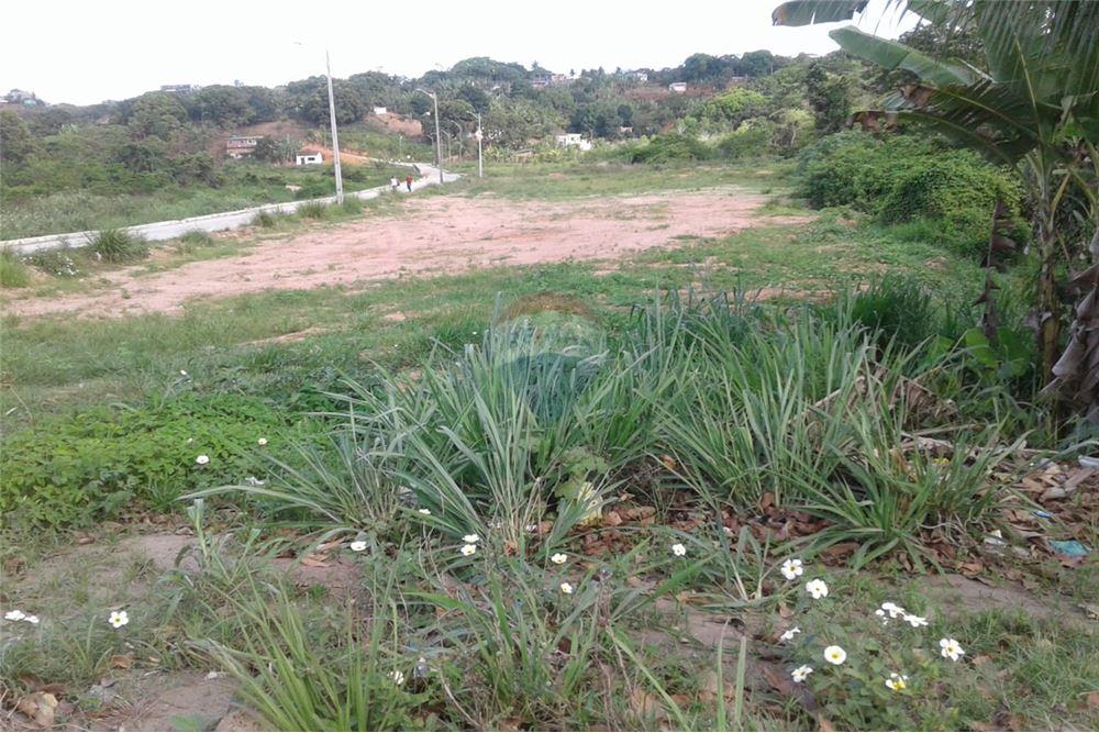 Terreno - Venda - Cabo de Santo Agostinho , Pernambuco - 4 - 850281015-64
