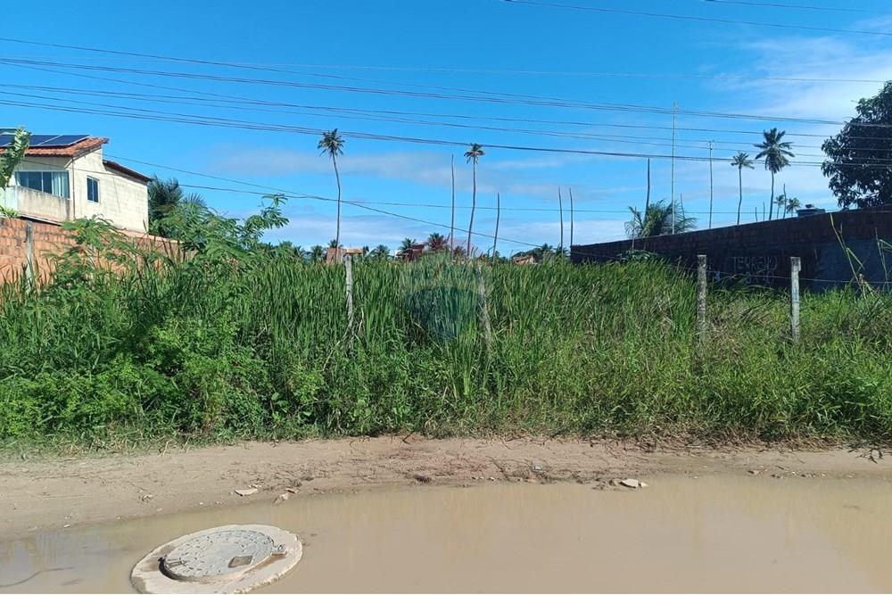Terreno - Venda - Maceió , Alagoas - TERRENO NICAULA 5.jpg - 850141002-118