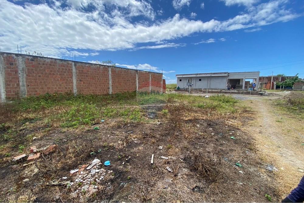 Terreno - Venda - Ipojuca , Pernambuco - WhatsApp Image 2026-02-17 at 12.37.51.jpeg - 850221030-41