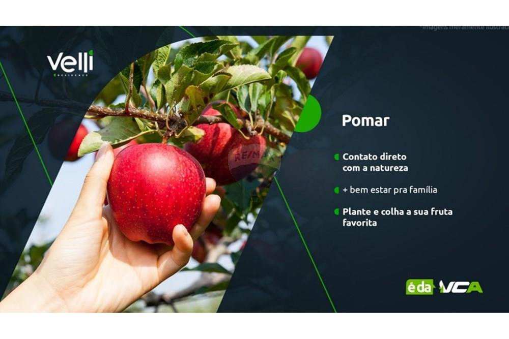 Casa de Condomínio - Venda - Caruaru , Pernambuco - Captura de tela 2025-05-07 101103.jpg - 850161001-437