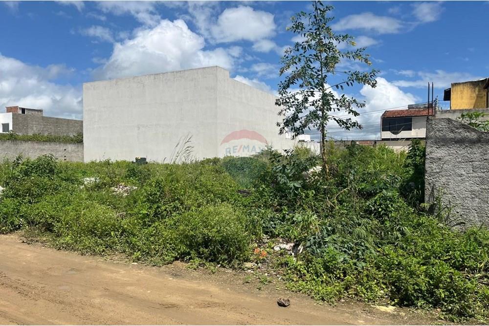 Terreno - Venda - Caruaru , Pernambuco - WhatsApp Image 2025-03-06 at 11.13.51 (1).jpeg - 850161060-23